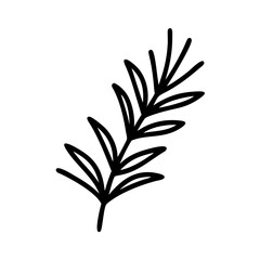Simple illustration of rosemary. Line drawing. Aroma. Relaxation. Restful sleep. Herb. Plants.