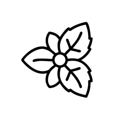 Illustration of simple mint. Herb. Hackberry. Coolness.