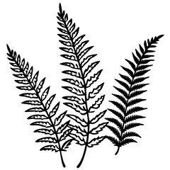 Whispering Ferns – Minimal Vector on White