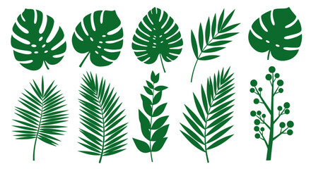 Exploring Diverse Green Plant Varieties in Lush Foliage of Tropical and Temperate Zone