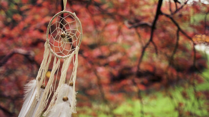 A dream catcher hangs on a autumn colored maple tree branch in a gentle breeze.