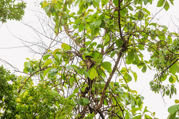 Go on a trip with nature