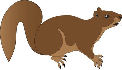 
Brown Squirrel Clip Art Illustration with White Background