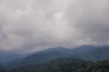 Go on a trip with nature