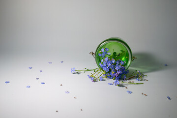 Cut to Fit - Forget Me Nots - 3