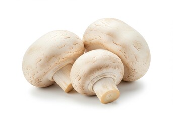 Three fresh button mushrooms close up view