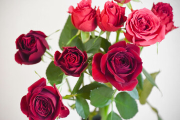 赤い薔薇
