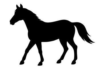 Horse Silhouette, Walking Equine, Black Vector Illustration