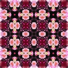 Seamless kaleidoscope floral pattern symmetrical arrangement of pink roses and burgundy accents creates a visually captivating and intricate design for fabric, wallpaper, and backgrounds