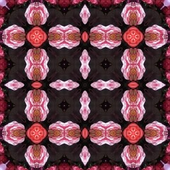 Seamless kaleidoscope floral pattern symmetrical arrangement of pink and red roses creating a mesmerizing floral kaleidoscope, a decorative design for fabric, wallpaper, and backgrounds