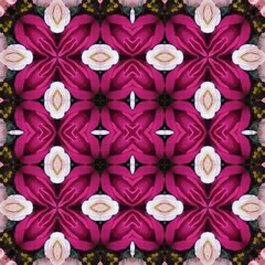 Seamless kaleidoscope floral pattern symmetrical arrangement of deep pink and white flowers creating a mesmerizing, repeating design for fabric, wallpaper, and backgrounds