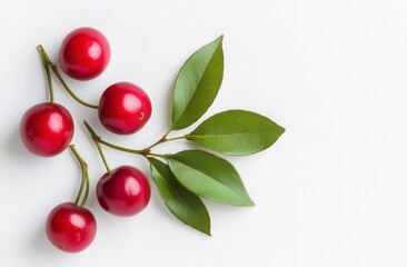 cherries on a branch
