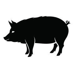 Fototapeta premium Black Silhouette Of Pig Standing