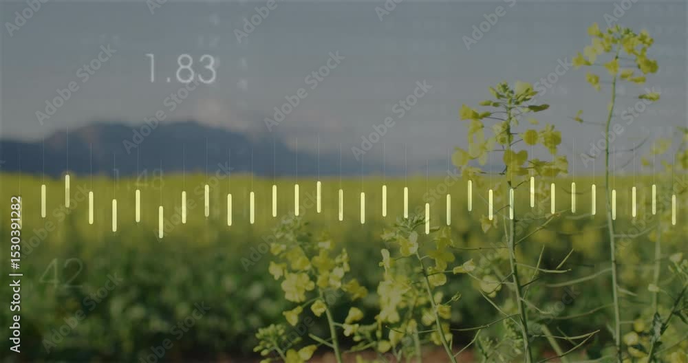 Poster on white bars appearing over yellow field, bars with line graph oscillating showing crop metrics