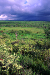 Santa Cruz Island Scenery in the Galapagos Islands