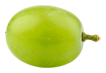 瑞々しい緑のぶどう、鮮やかに輝く光沢感