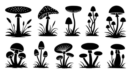 Black silhouette illustrations of various mushroom types with grass