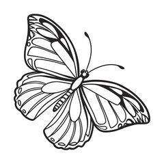 Clean and Minimal Butterfly Artwork in Vector Format