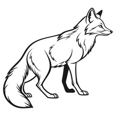 Hand Drawn Fox Vector for Forest Themed Illustrations