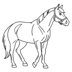 Minimalist Horse Line Art Vector Illustration in Black and White