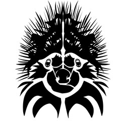 Black Silhouette of Hedgehog Head