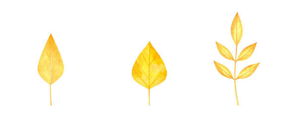 Three unique yellow leaves showcasing autumn beauty and nature's elegance.