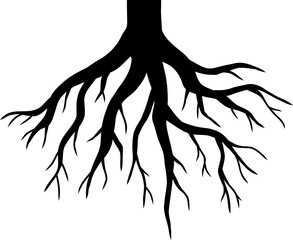 Plant Root Silhouette Illustration