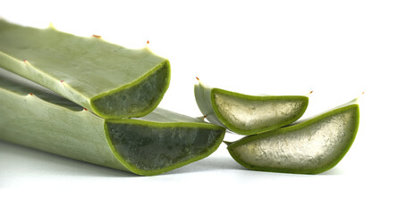 Close-Up of Freshly Cut Aloe Vera Leaves With Inner Gel Visible