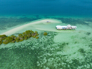 Drone view of sandbar and mangroves. Vanishing Island. Samal, Davao. Philippines.