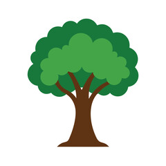 green tree with green leaves