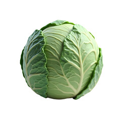 Fototapeta premium Isolated whole green cabbage with visible leaf vein structure isolated on white background