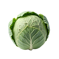 Fototapeta premium A single head of green cabbage isolated isolated on white background