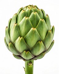Fototapeta premium Fresh Green Artichoke A Culinary Delight, Vibrant and Ready for Your Recipes