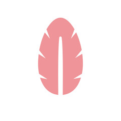 Stylized Feather A salmon-pink feather with stylized cutouts, set against a plain white background