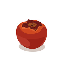Persimmon's Illustration