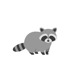 Flat illustration of a gray raccoon with black stripes and white background