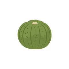 Illustrated vibrant green pumpkin with speckles on white background, simple graphic style