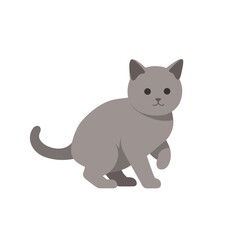 Gray cat illustration