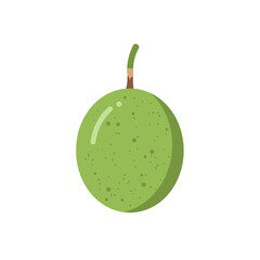 Simple illustration of a green fruit with stem, set against a clean, white background