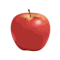 Vector-style illustration of a vibrant red apple with a brown stem, isolated on a white background