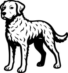 Chesapeake Bay Retriever.eps