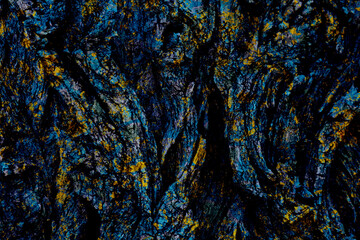 Dark blue yellow rough wrinkled bark surface background,design decor