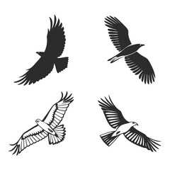 Obraz premium Four black and white eagle silhouettes in flight