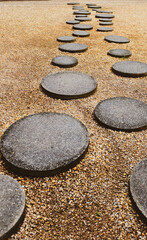 Stone Path Journey: A serene scene of a stone path leading into the distance, evoking a sense of adventure and contemplation, each step a testament to mindful progress.