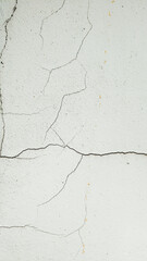 Cracked wall: An up-close image showcases a weathered white wall with intricate cracks, narrating a story of time and resilience.
