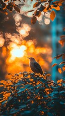 "Colorful Sunset Silhouette of Bird on Tree Branch"