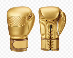 realistic 3d boxing gloves  front and back view in different color style  isolated on transparent background