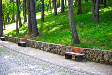 Modern wooden bench in Beykoz Grove. Sitting, resting place in nature. Quiet, calm, peaceful. Seat.	