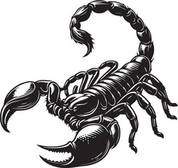 Black and White Scorpion Vector Illustration &ndash; Aggressive Insect Tattoo Design	
