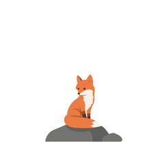 A playful fox sits gracefully against a minimalist white background, exuding charm